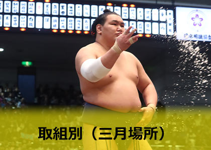 日本相撲協会公式フォトサービス | フォトレコ
