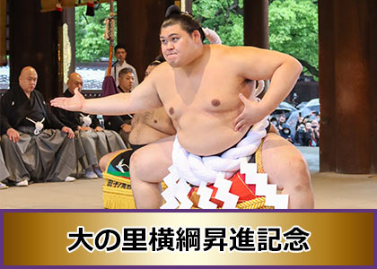 日本相撲協会公式フォトサービス | フォトレコ